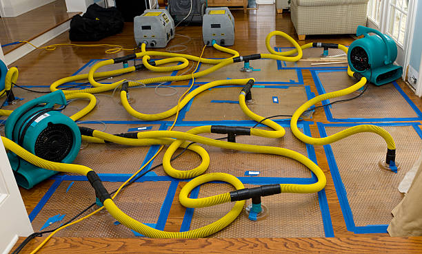 Professional Flood Damage Restoration technician working in Lewisburg, KY